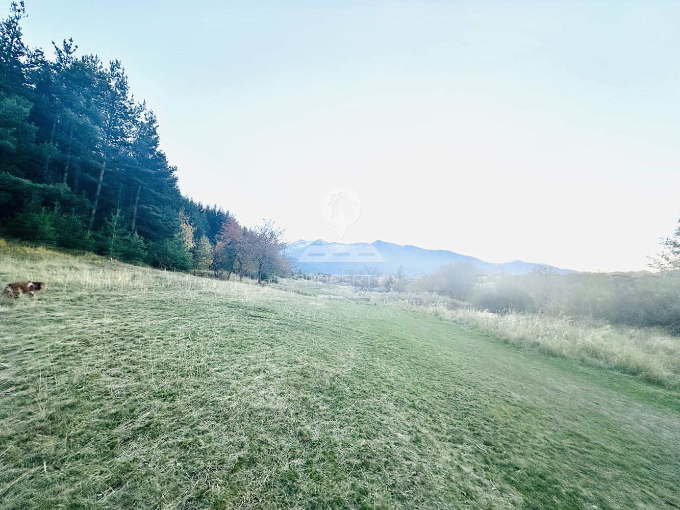 ПАРЦЕЛ С АТРАКТИВНА ЛОКАЦИЯ, М. ВЕЛИЧКОВЕЦ, ГР. БАНСКО. - 0