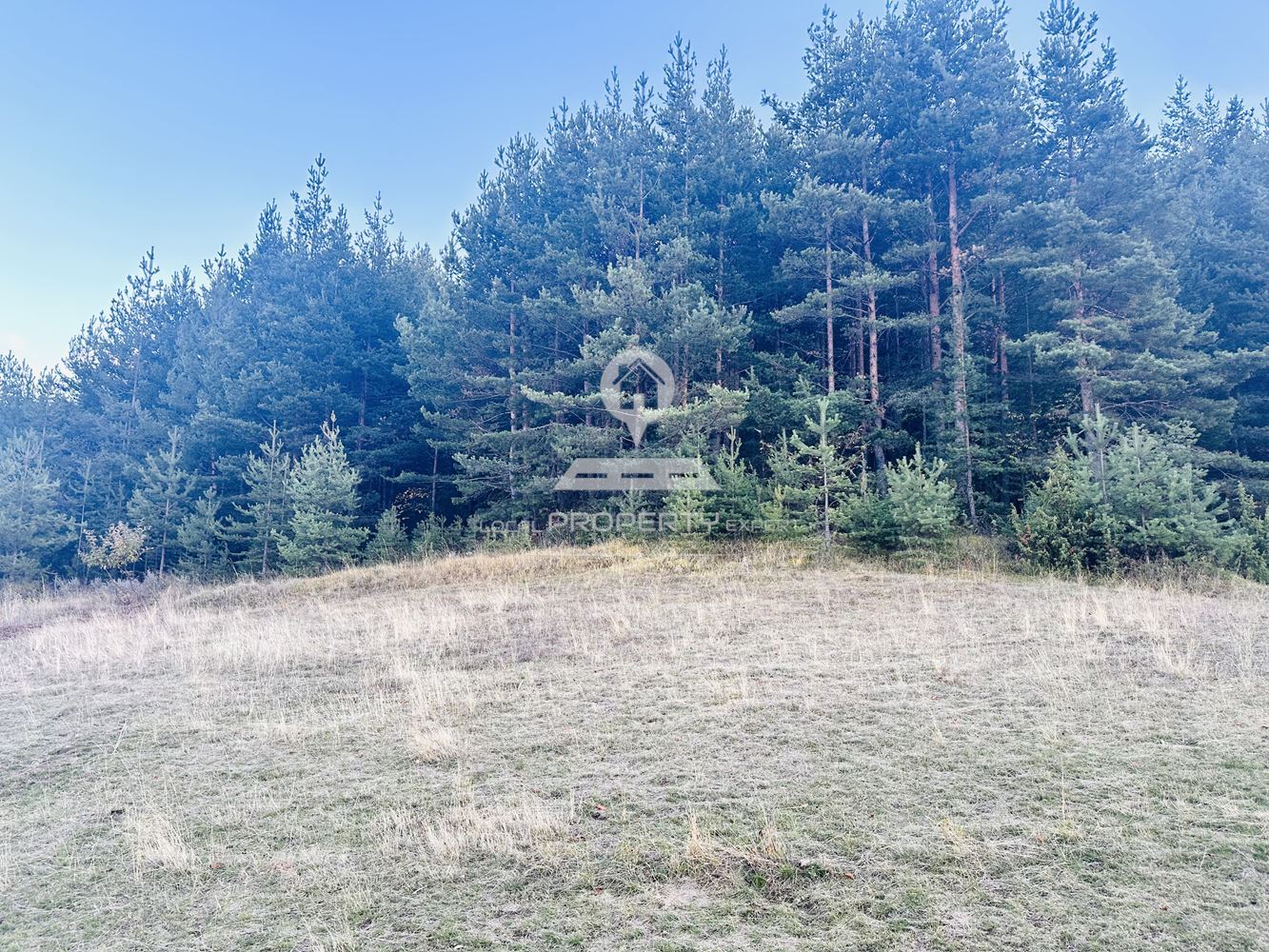 ПАРЦЕЛ С АТРАКТИВНА ЛОКАЦИЯ, М. ВЕЛИЧКОВЕЦ, ГР. БАНСКО. - 0