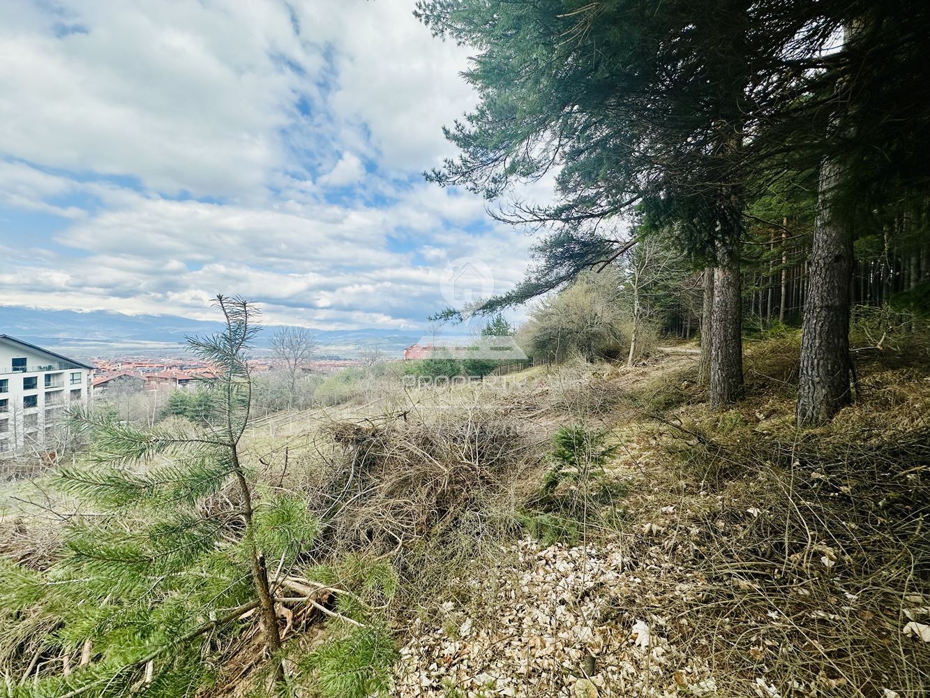 ПАРЦЕЛ В РЕГУЛАЦИЯ, МЕСТНОСТ "КОЩЕРИНАТА" ГР. БАНСКО - 0