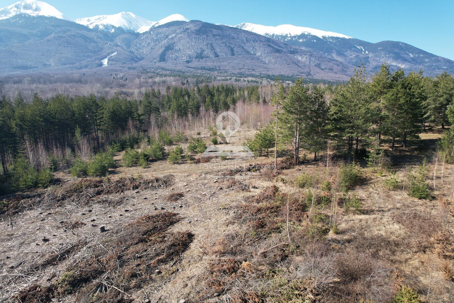ПАРЦЕЛ ЗА ВИЛНО СТРОЙТЕЛСТВО МЕСТНОСТ ПРЕДЕЛ, РАЙОН РАЗЛОГ. - 0