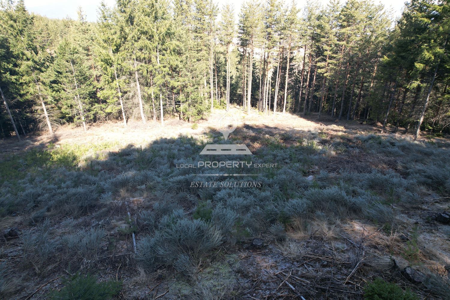 ИМОТ В МЕСТНОСТ „ИВАН РИЛСКИ“, ГР. БАНСКО - 0