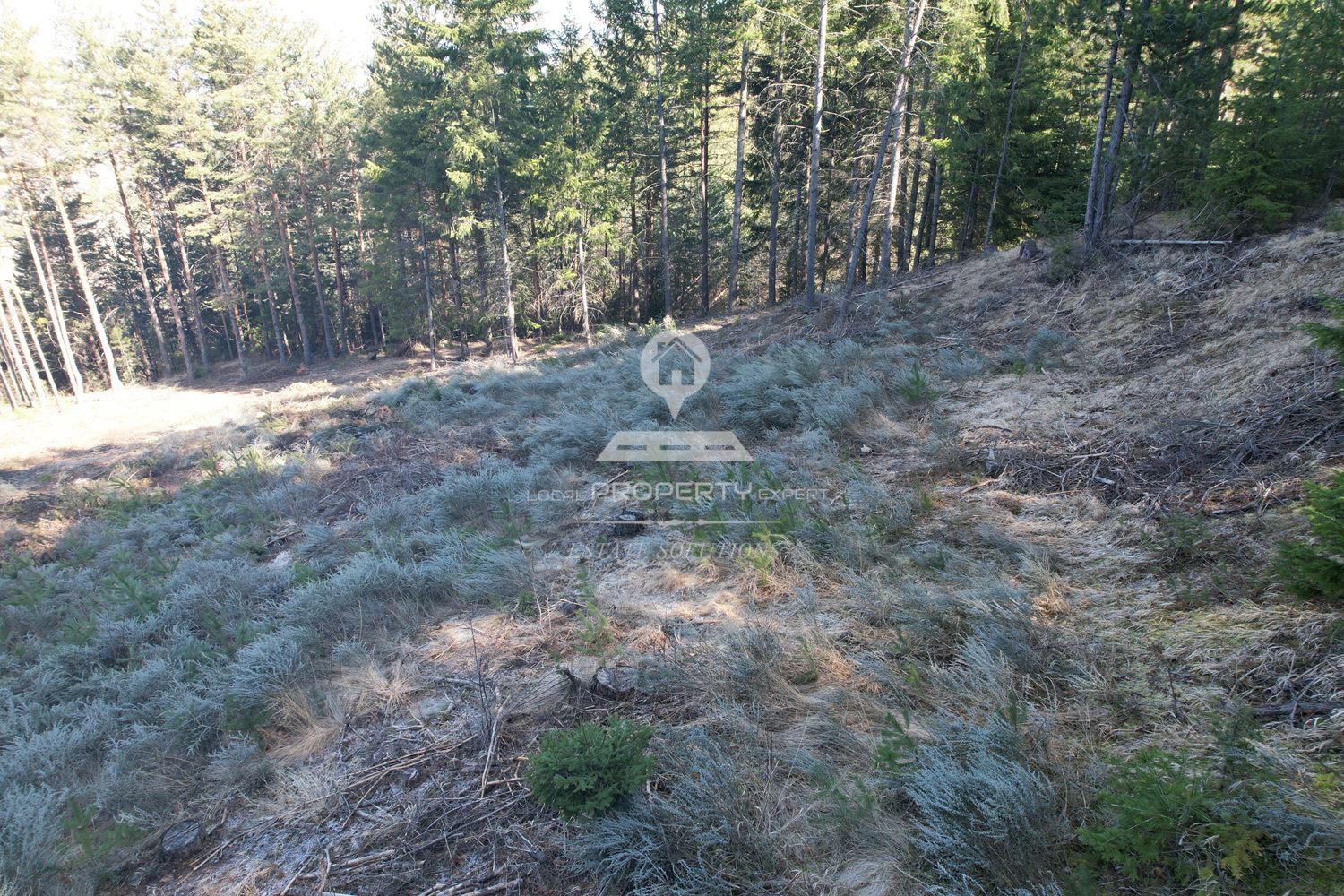 ИМОТ В МЕСТНОСТ „ИВАН РИЛСКИ“, ГР. БАНСКО - 0