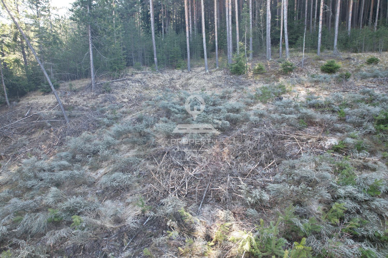 ИМОТ В МЕСТНОСТ „ИВАН РИЛСКИ“, ГР. БАНСКО - 0